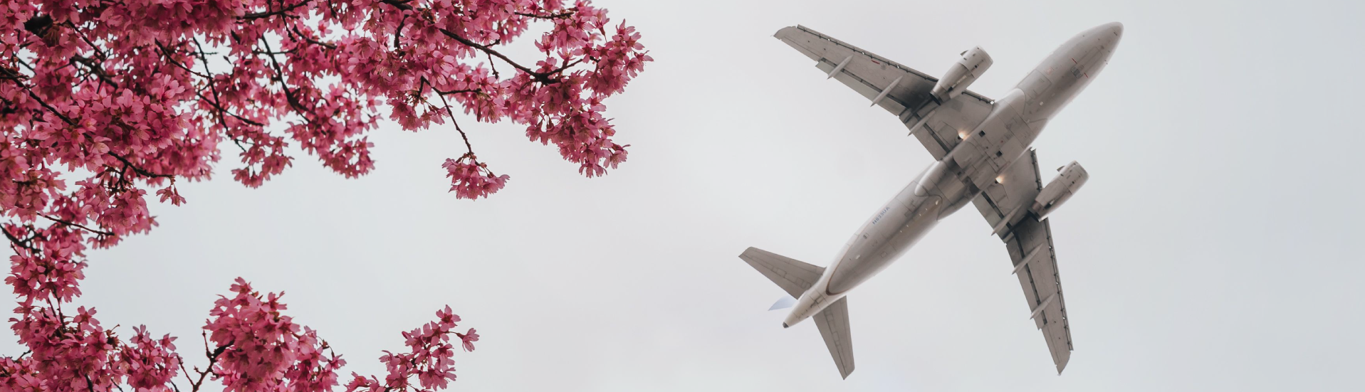 Top four benefits of using a flight cache to book